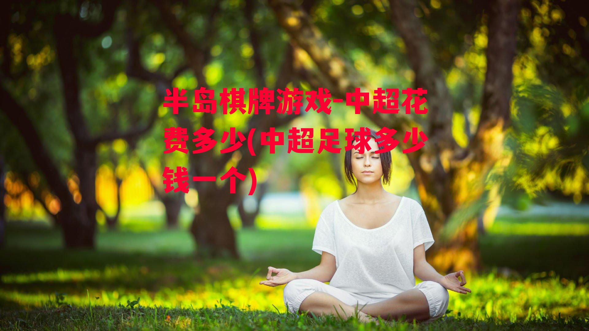 中超花费多少(中超足球多少钱一个)