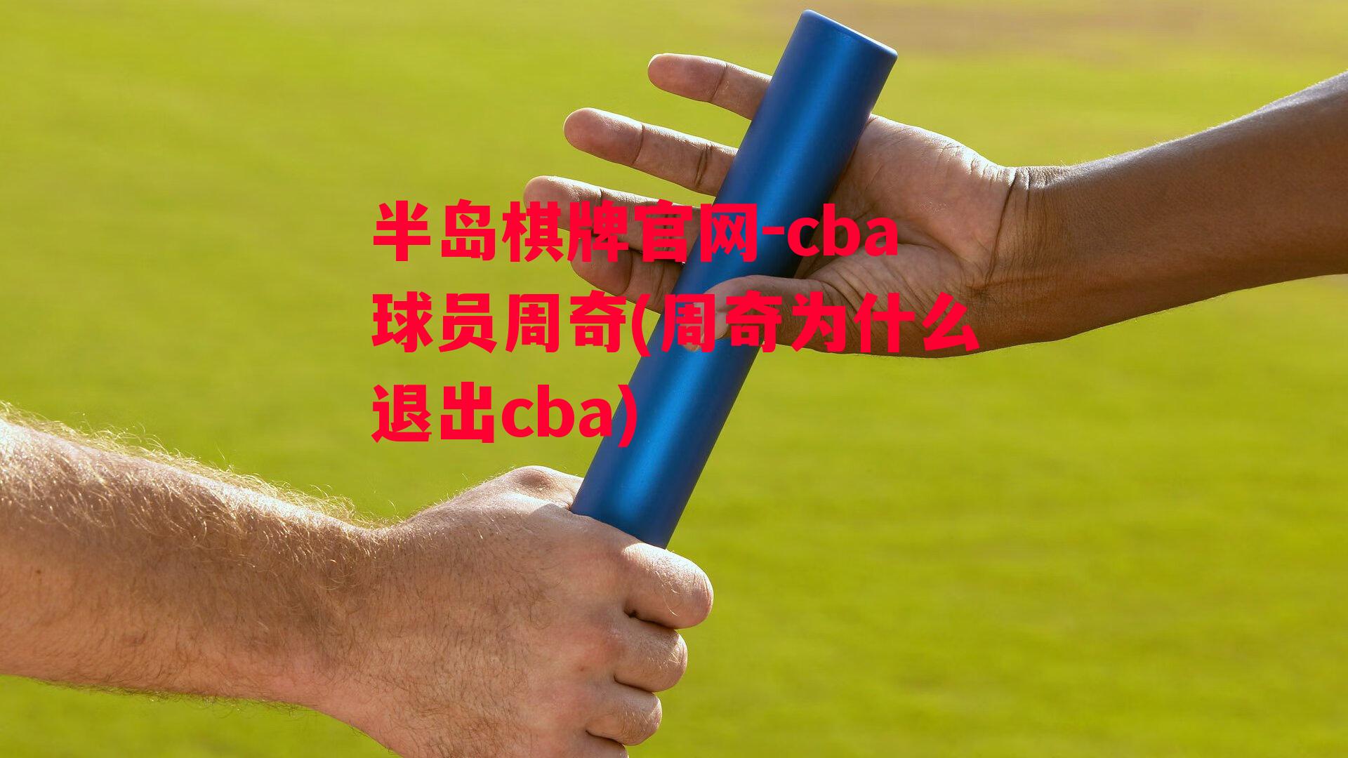 cba球员周奇(周奇为什么退出cba)